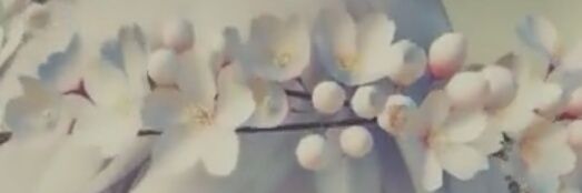 akanesinon's profile banner image