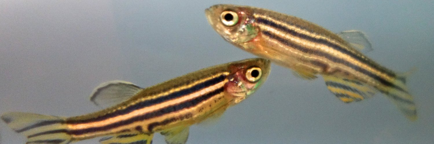 Delia Shelton (she/her) banner