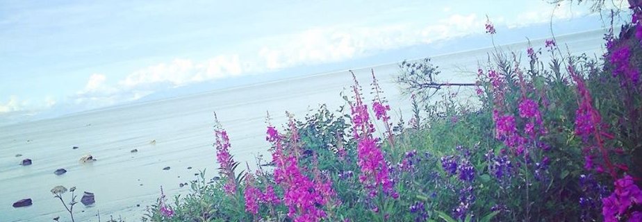 mrs_bhicks's profile banner image