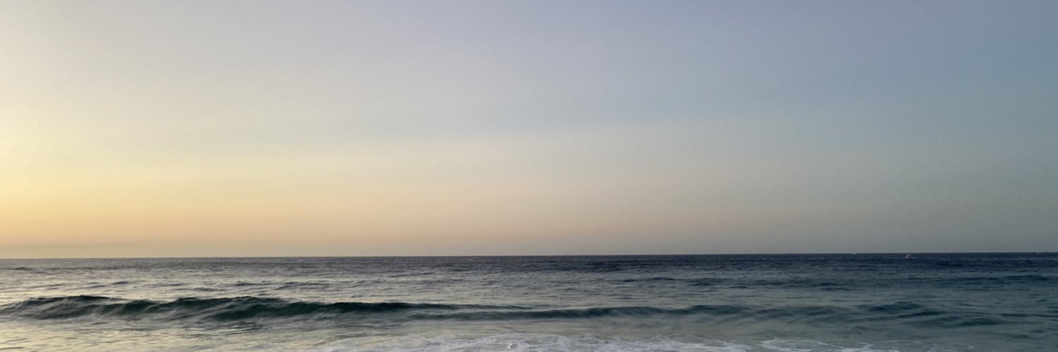veesass banner