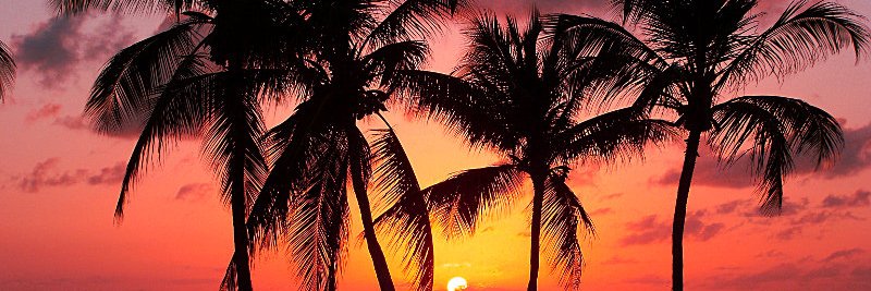 ocplumbcrazy's profile banner image