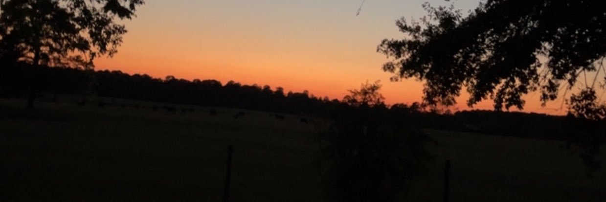 ZCG2015's profile banner image