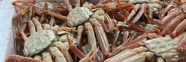 notohongo Profile Banner