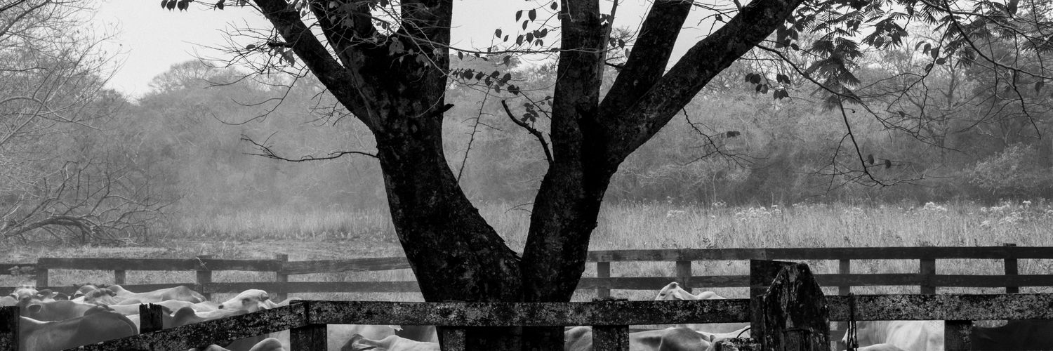 Sduquer95's profile banner image