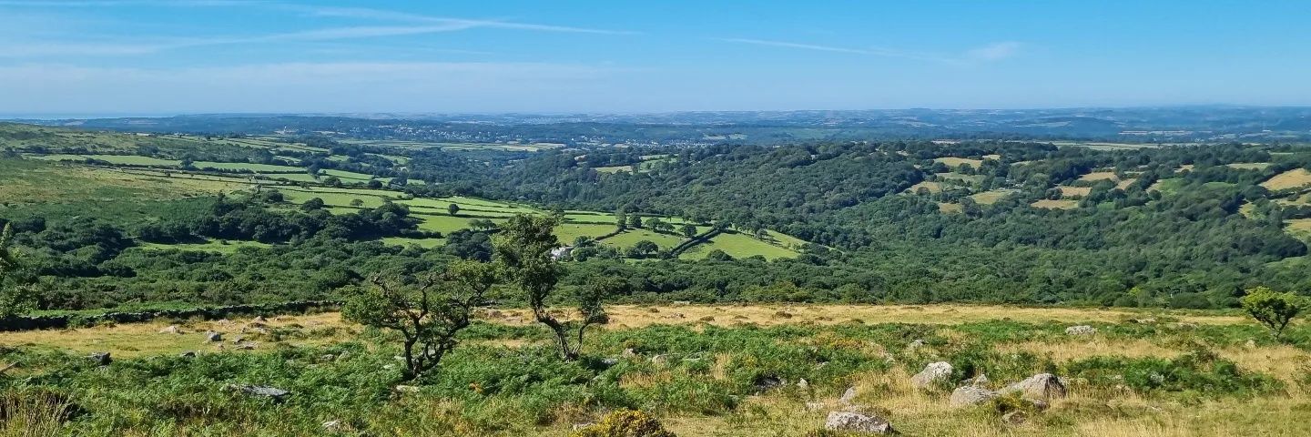 Hannah Merson FCA banner