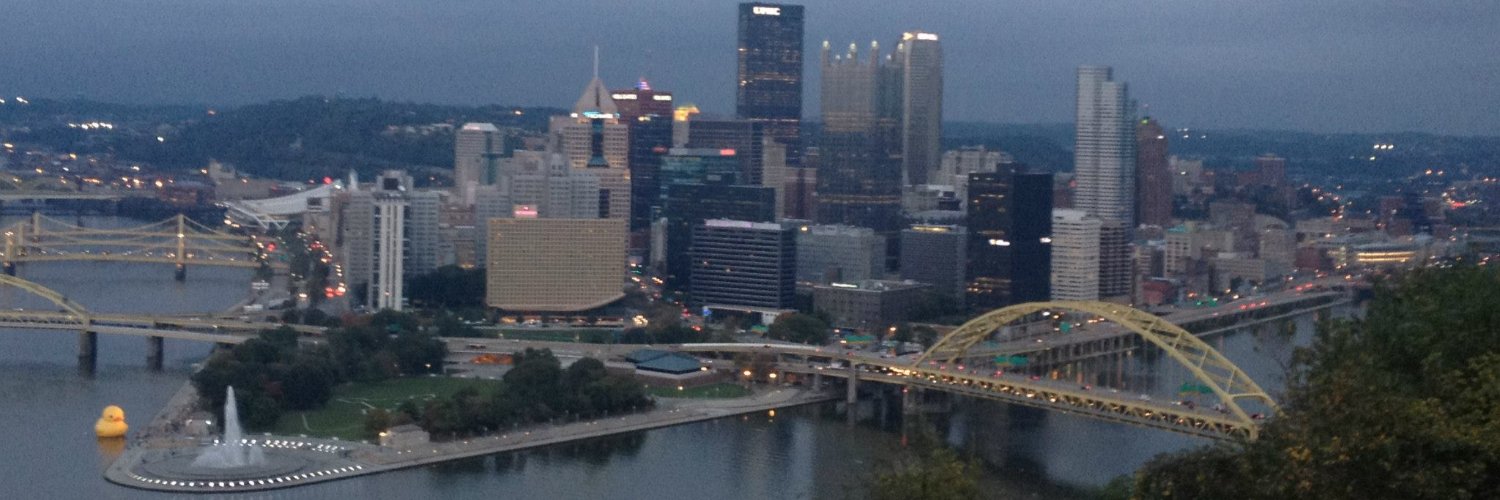 Victoria Shineman banner