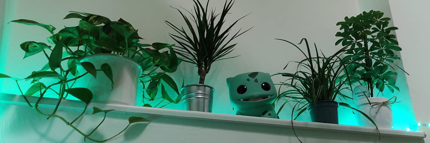 JojenaTheTurtle's profile banner image
