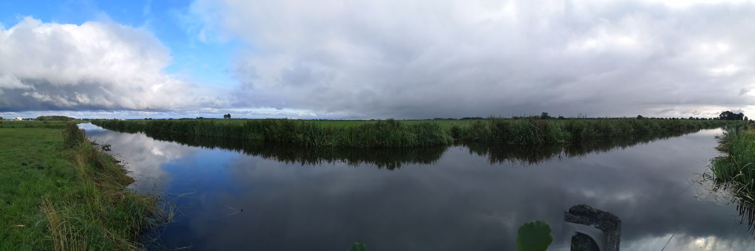 Roderick Enzerink banner