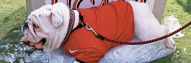 larkin_haley's profile banner image