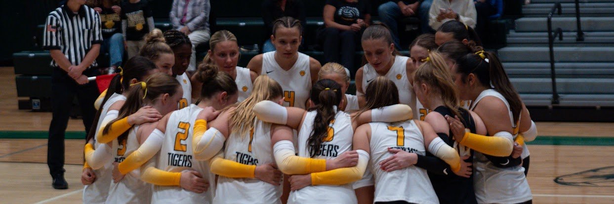 nagirlsvb's profile banner image