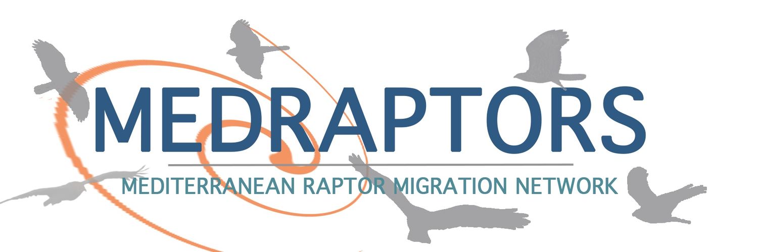 Medraptors banner