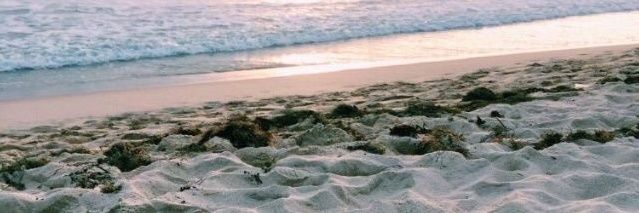 نـهـار الـزقدي 🇸🇦 banner