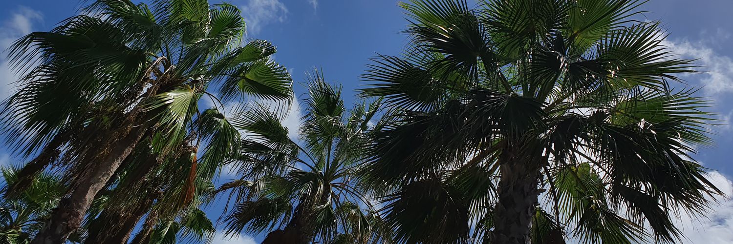 DiegoHasselhoff's profile banner image