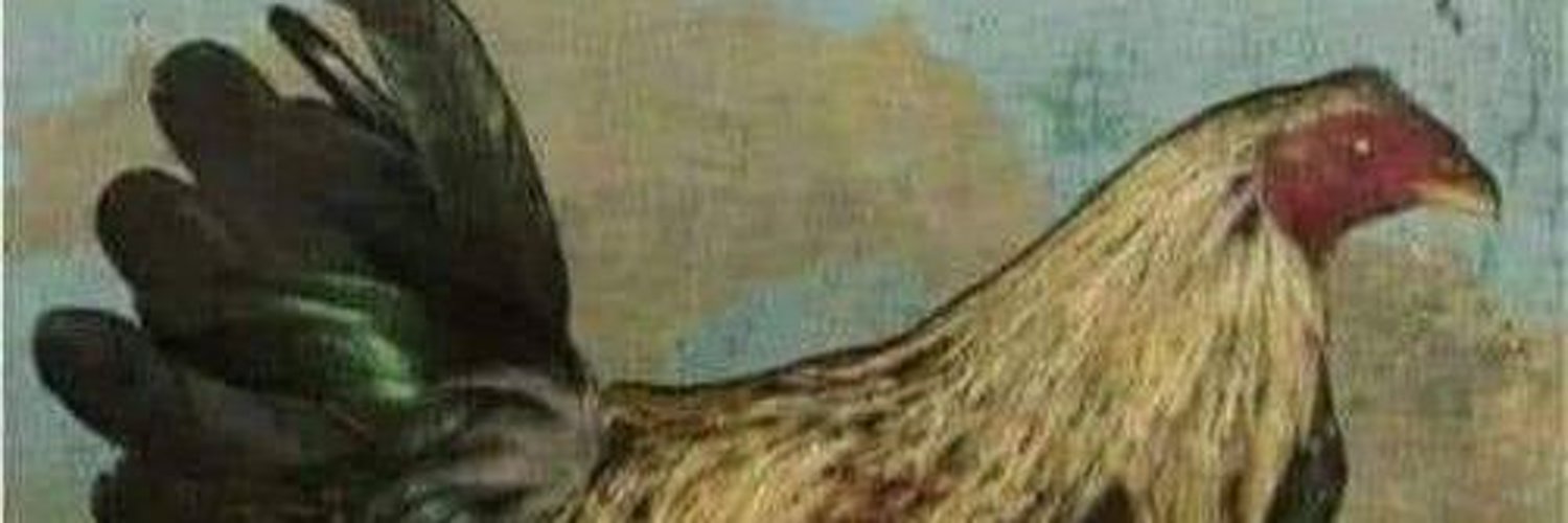 Orkito69's profile banner image