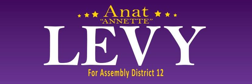 Elect_Anat's profile banner image