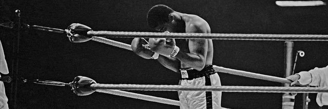 Ameena Soliman banner