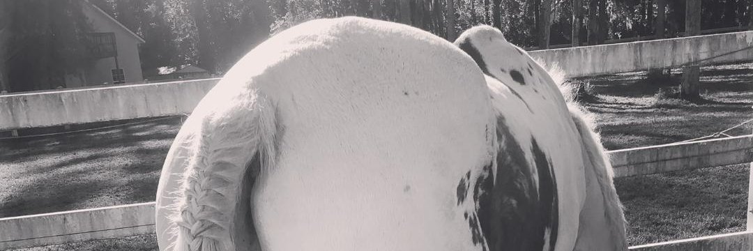 DestinyVaughn's profile banner image