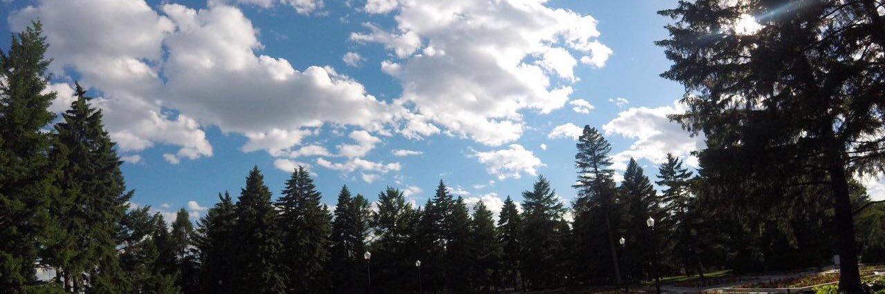 LuisellyAV's profile banner image