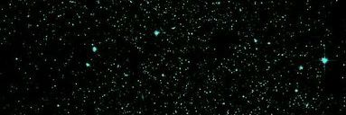 CandeMozzoni's profile banner image