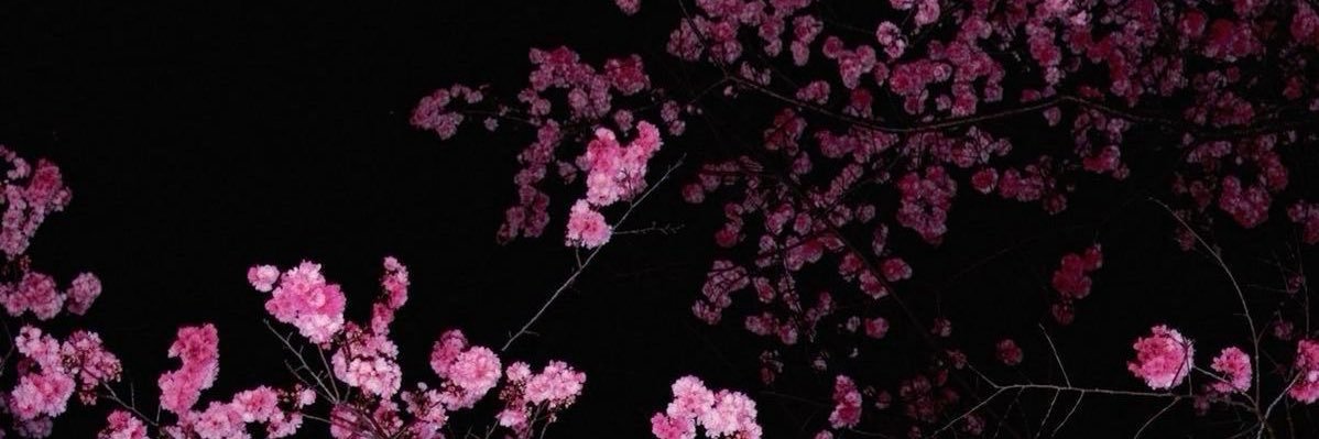 SAKURA banner