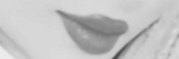 𝑭 🦌. banner