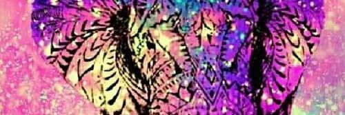 Alaalolo224's profile banner image