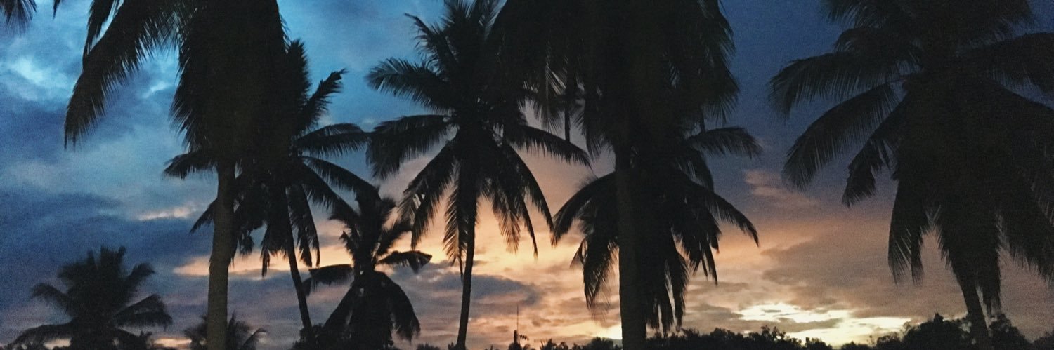 katiannnn's profile banner image