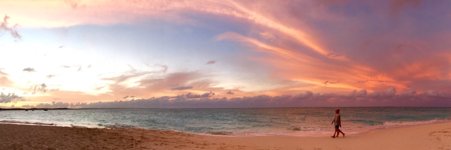 Christine Kim banner