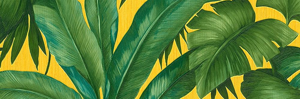 jaidabrowne's profile banner image