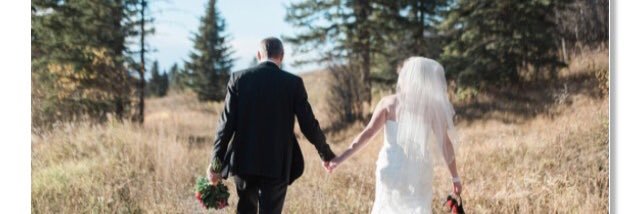 iloveladybugs38's profile banner image