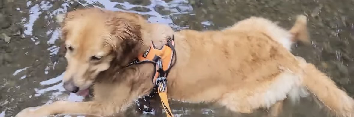 i.de.a.images banner