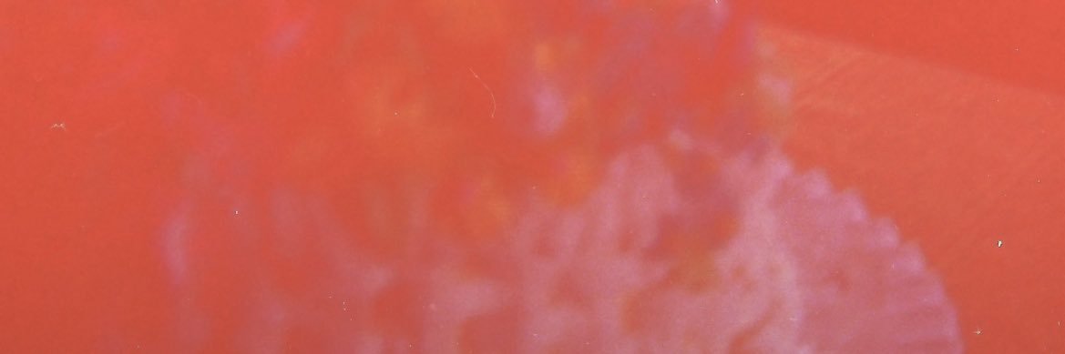 maccreadyluvr's profile banner image
