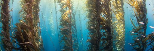 Maite  Gato-Fuentes banner