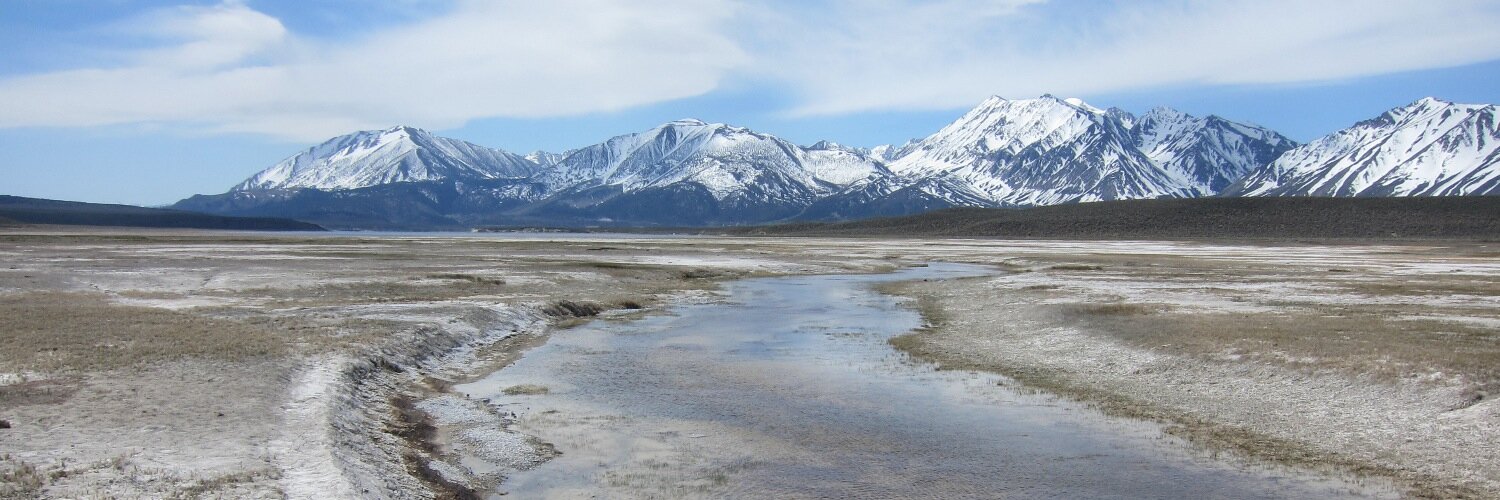 Philippe Gauthier banner