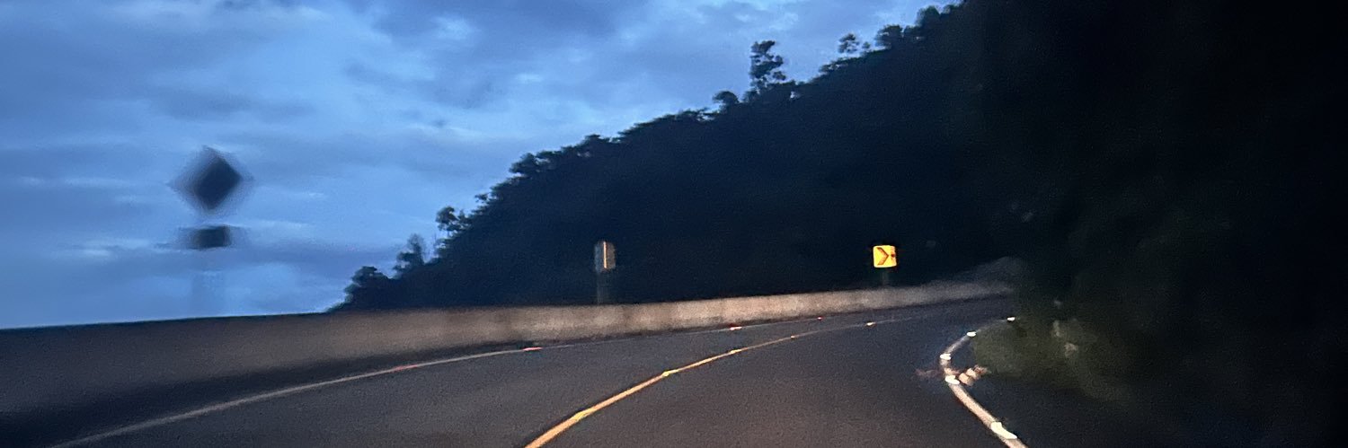 licaaaar_'s profile banner image