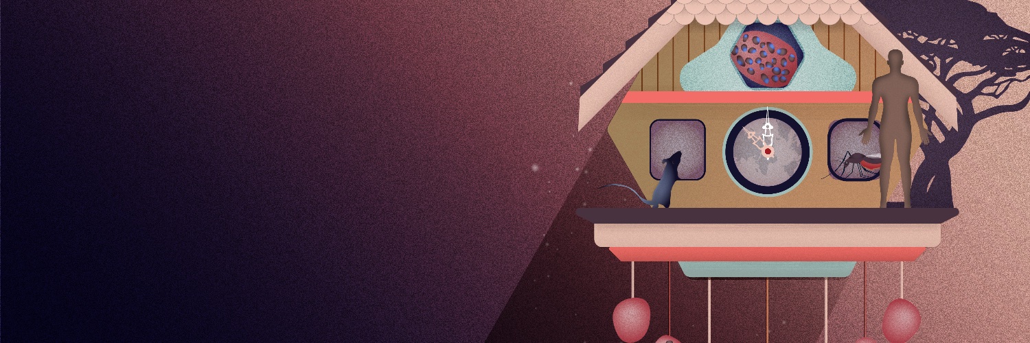 Filipa Rijo-Ferreira banner