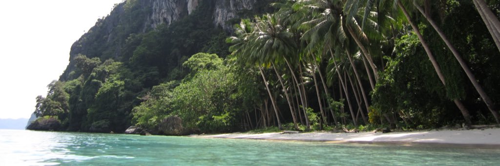 foolest's profile banner image