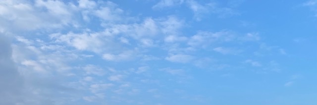 PerkavoB's profile banner image