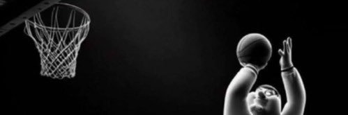 Panthers/Hornets Enthusiast/Masochist banner