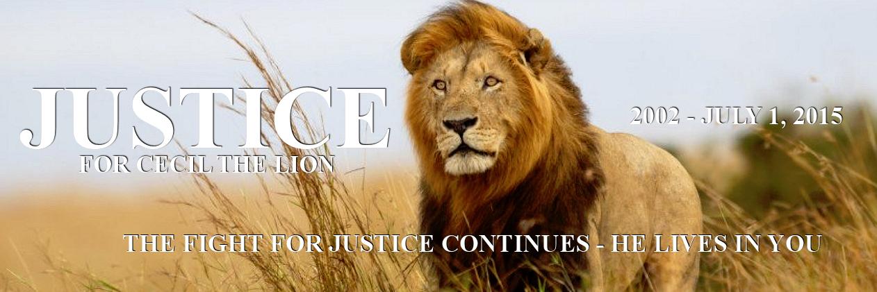 Justice for Cecil banner