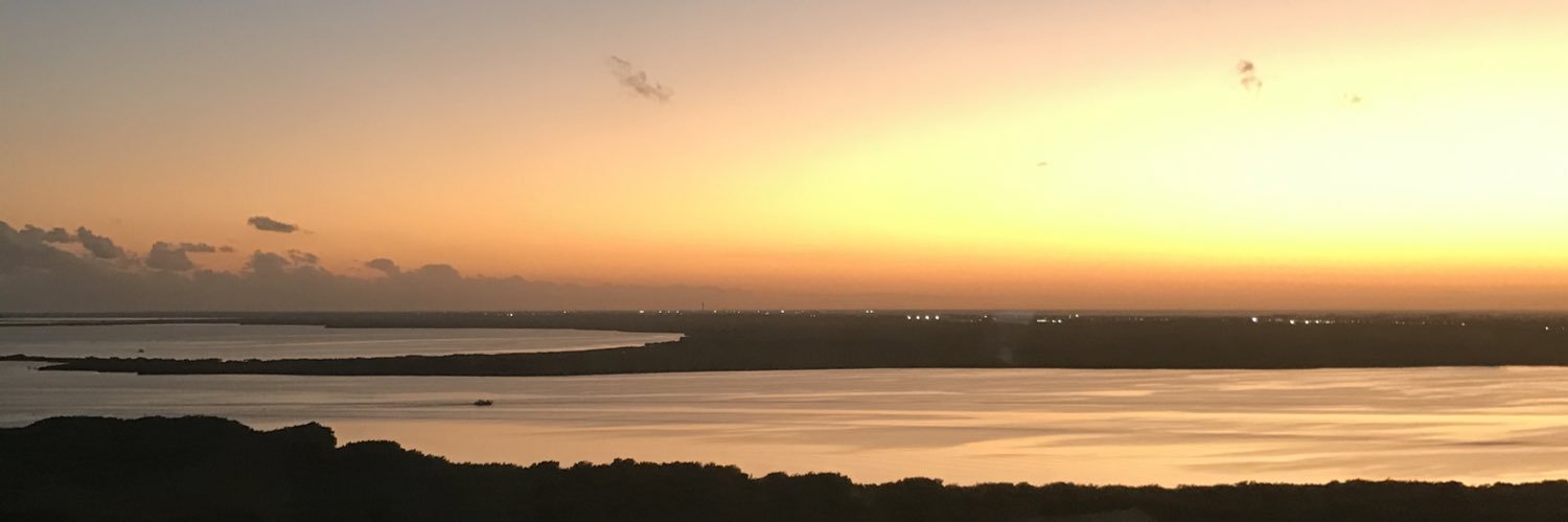 DeysiRoo's profile banner image