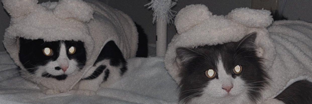 Annabel1118's profile banner image
