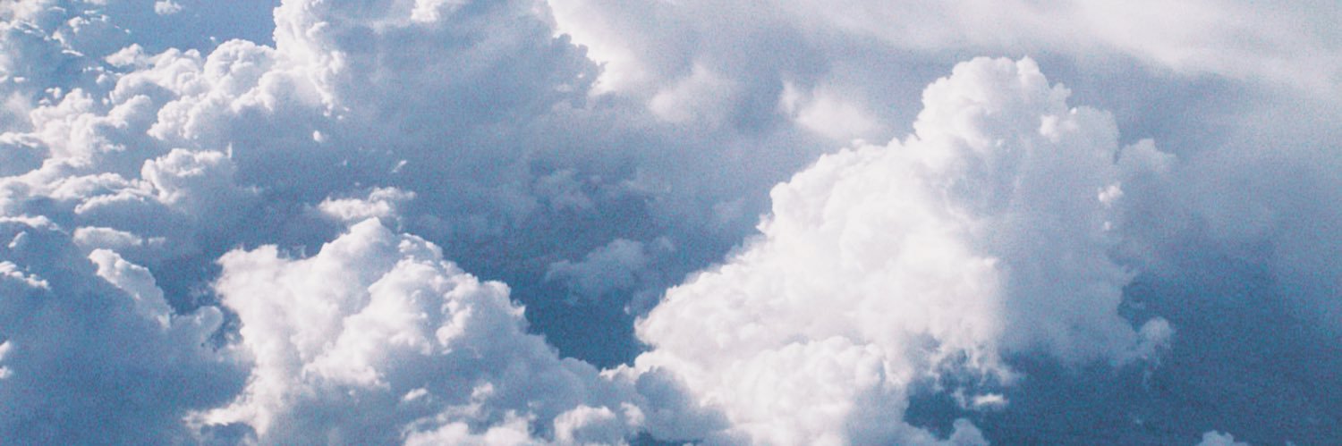 nessasamayoa's profile banner image