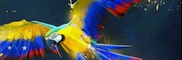 Ovidecre's profile banner image