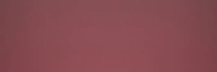 __shanys's profile banner image