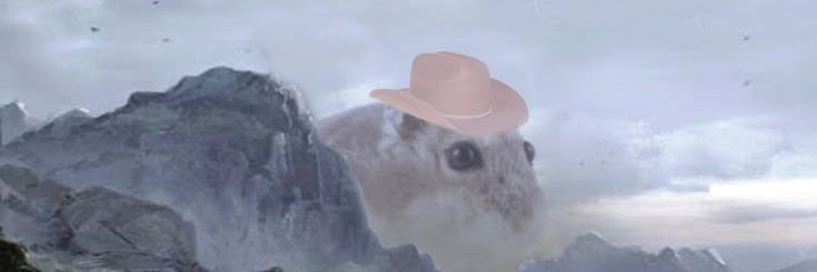 Bree ✰ banner