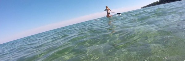 em1ly_br1ggs Profile Banner