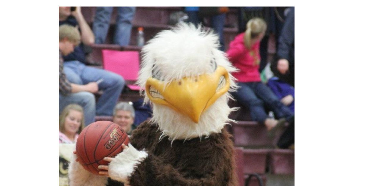 EllsworthBasket's profile banner image