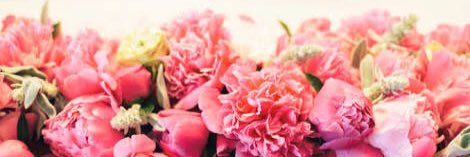 fulu_n's profile banner image