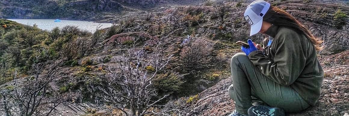 Scarlett_vines banner